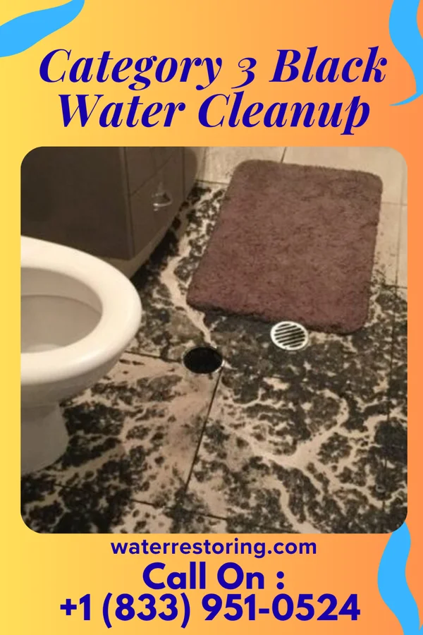 Category 3 Black Water Cleanup in Bowie, TX
