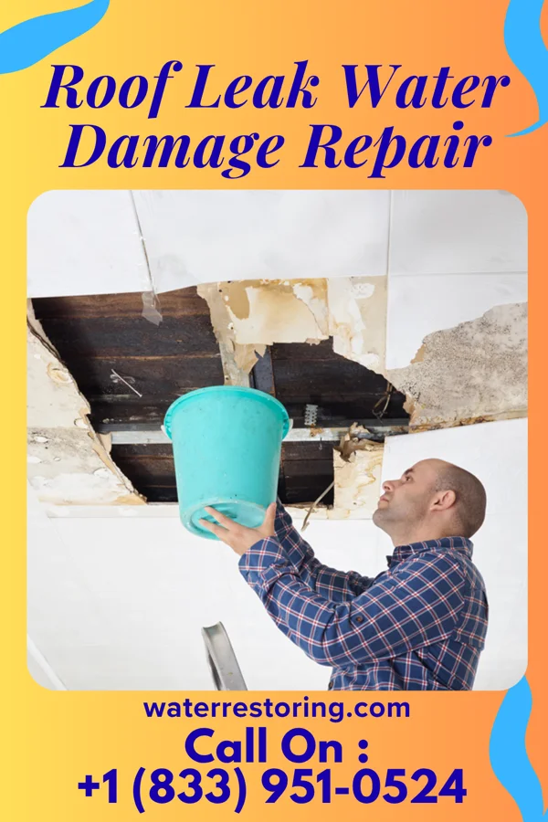 Roof Leak Water Damage Repair in Bowie, TX