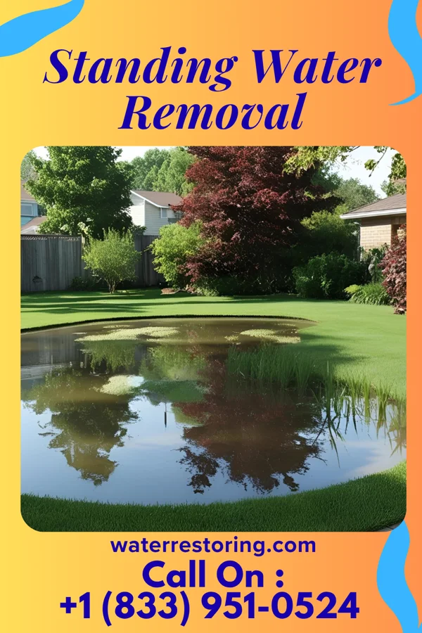 Standing Water Removal in Bowie, TX